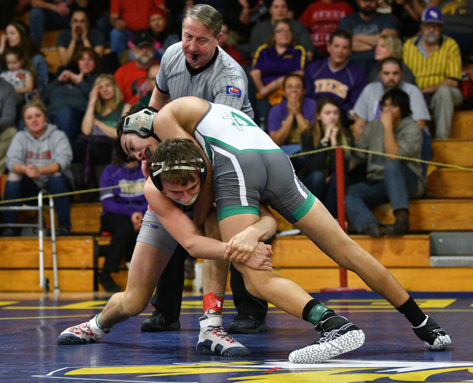 Class 1A Sherrard Wrestling Regional